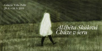 Chůze v šeru Alžběty Skálové