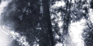 Záhadně zmizelý surrealista Karel Šebek stále žije?