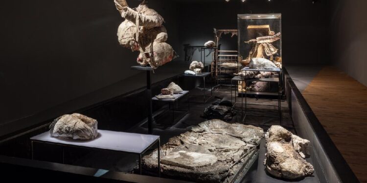 Zdeněk Beran: Rehabilitační oddělení Dr. Dr. / MUO