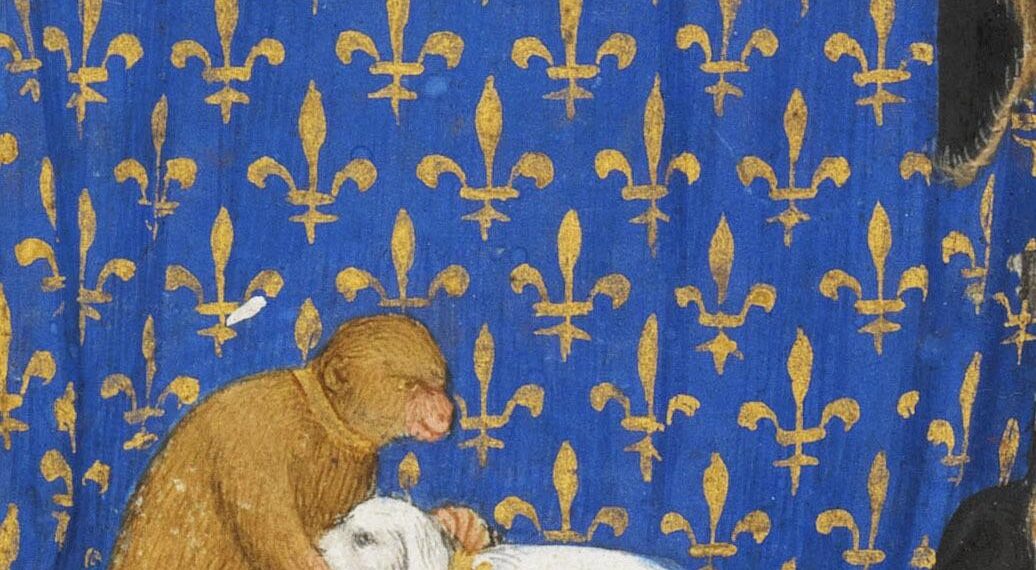 Přednáška Marka Zágory: Domácí mazlíčci ve středověku