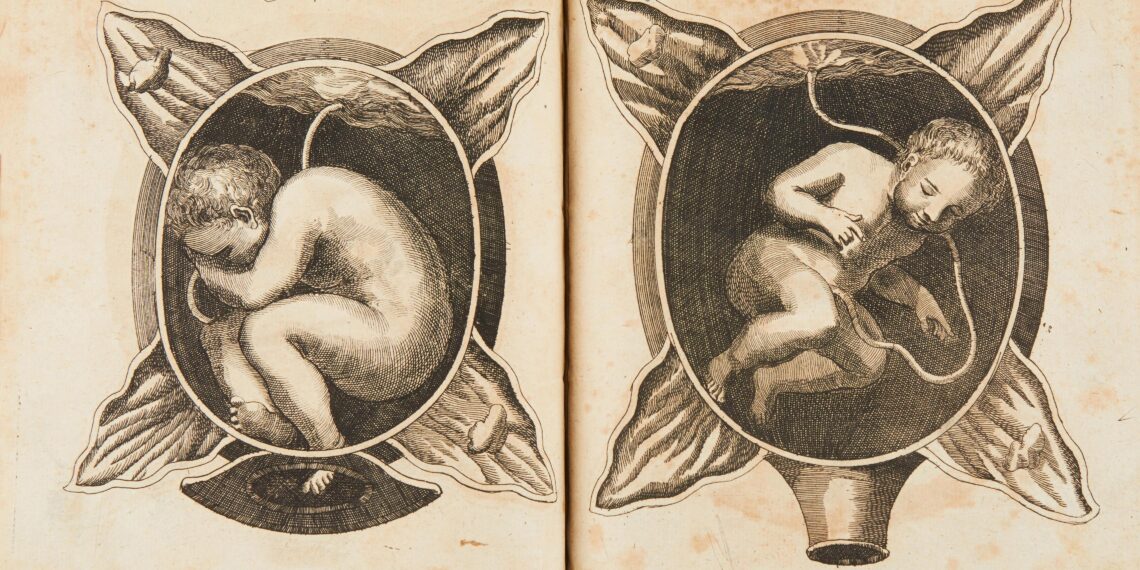 Aukce: Knihy a dekorativní grafika