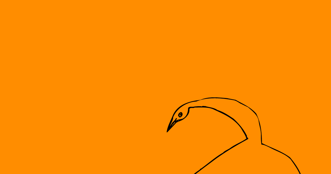 Komentovaná prohlídka výstavy: Husa na Kampě se sběratelem Vladimírem Železným