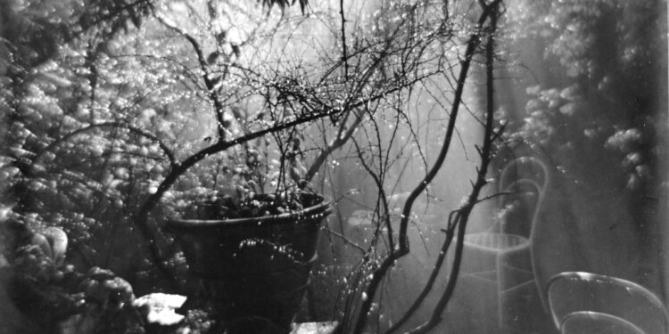 Josef Sudek – A zahrady zde žijí proměnlivostí nálad