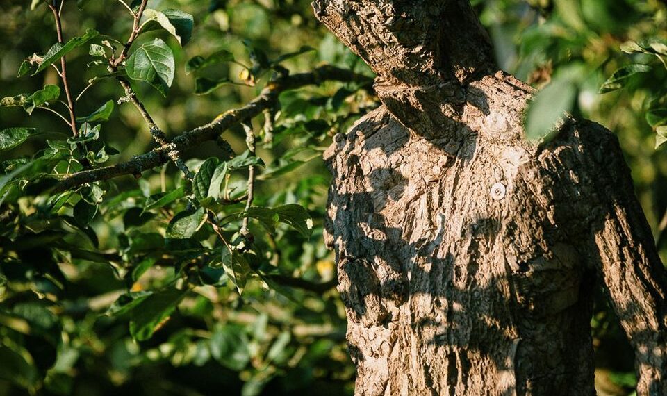 Zahájení výstavy: Matouš Lipus – Sochy v zahradě