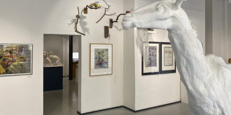 Animálie: Michal Cihlář a Tereza Eisnerová / Galerie 1