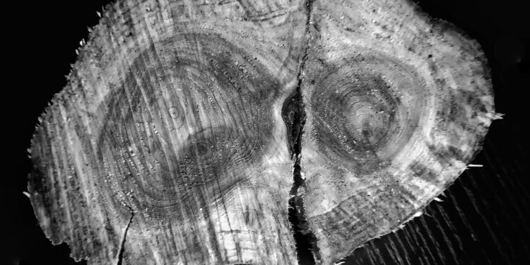 Jak Freudův „Výklad snů“ změnil pohled na člověka…